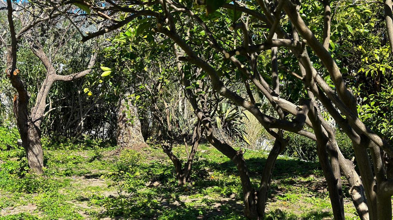 Villa La Milanina Lipari  Eksteriør bilde